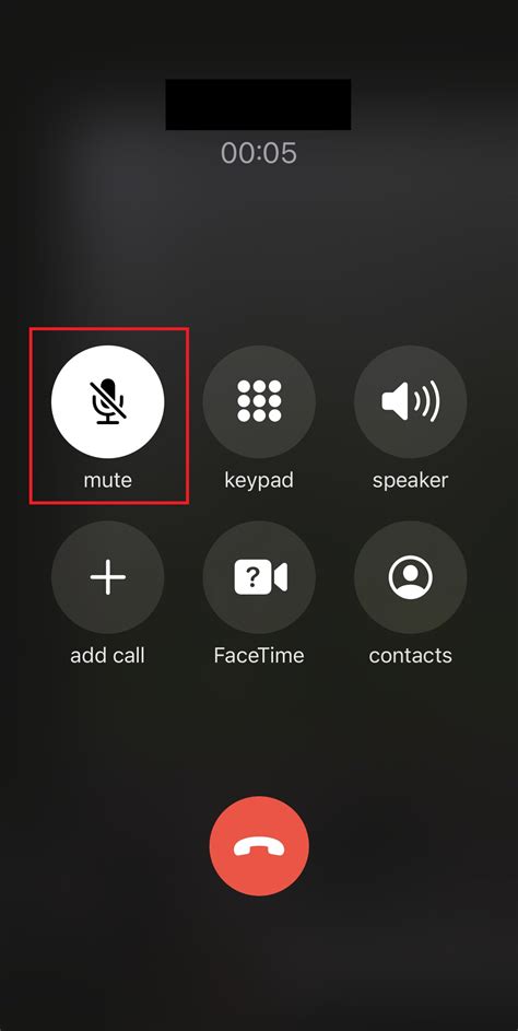 How Do I Unmute My Microphone on My iPhone – TechCult