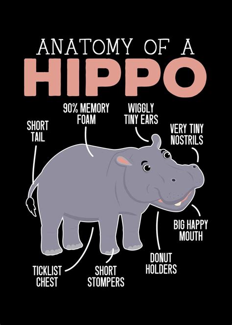 'Anatomy Of A Hippo' Poster by NAO | Displate