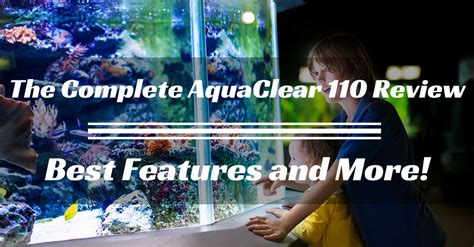 The Complete AquaClear 110 Review: Best Features And More! - Stories Of Water