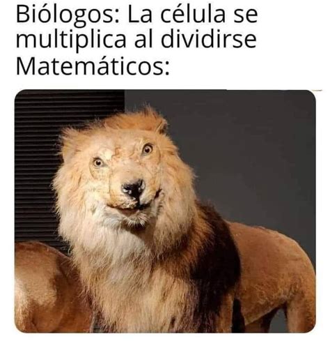 Biólogos: La célula se multiplica al dividirse. Matemáticos: - Memes