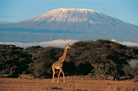 Kilimanjaro | Height, Map, Country, & Facts | Britannica