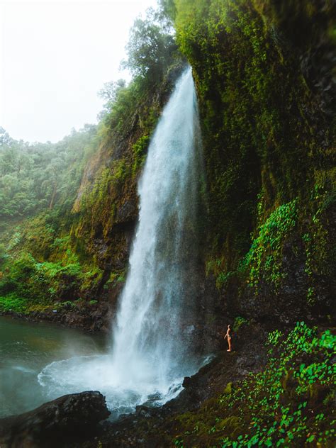 9 Waterfalls and Swimming Holes Worth Chasing near Cairns - Luxury ...