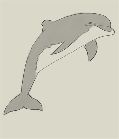 Free Dolphin Drawin Easy, Download Free Dolphin Drawin Easy png images ...