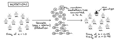 Non Random Mating Example - slidesharetrick