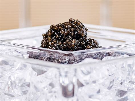 Best Caviar in the World | Best Types of Caviar | 2022 Updated