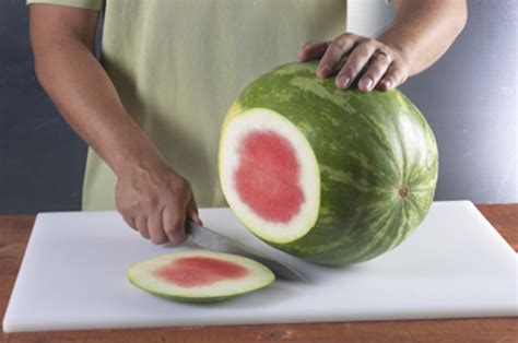 Fish - Watermelon Board