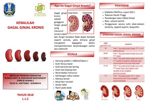 Leaflet Kolaborasi Gagal Ginjal Kronis - Gagal ginjal kronis adalah gangguan fungsi ginjal yang ...