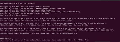 How to Use GNU Screen to Manage Terminal Sessions in Linux