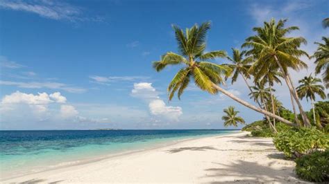 Raa Atoll weather and climate ☀️ Water temperature 💧 Best time to visit