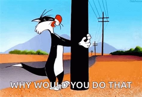 Fml Sylvester GIF - Fml Sylvester Cat - Discover & Share GIFs