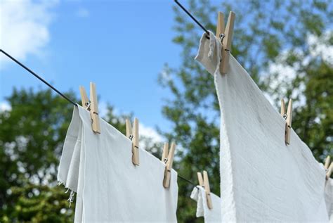 Best Travel Clothesline 2022 - Make Adventure Happen