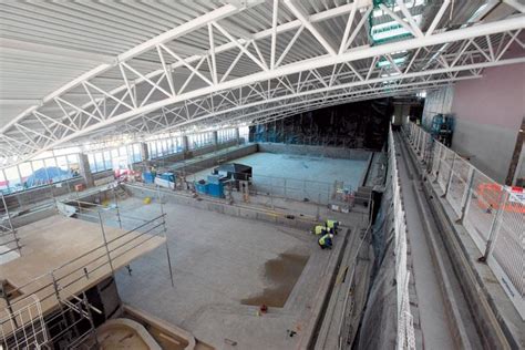 Braywick Leisure Centre taking shape ahead of summer 2020 opening ...