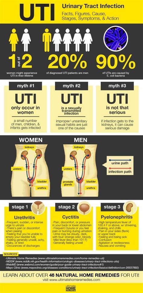 46 Effective And Natural Home Remedies For UTI (ULTIMATE HOW-TO GUIDE) | Urinary tract infection ...