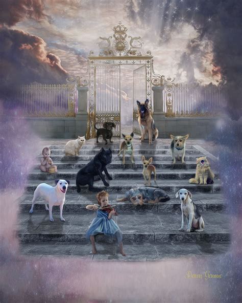 Heaven Fantasy Art Print Dog Fantasy Artwork Cat Fantasy Art Work Heaven Wall Art Pet Loss Pet ...