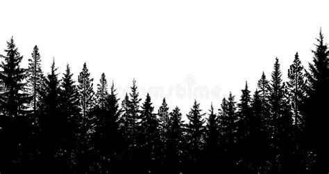 Tree Silhouette Background