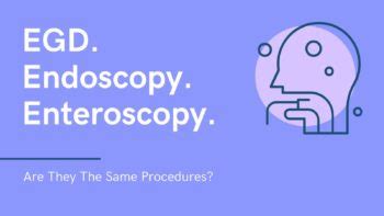 EGD Endoscopy Enteroscopy: Are They All The Same Procedures?