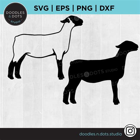 Show Lamb Svg Show Sheep Svg Lamb Clipart H Market Lamb | The Best Porn ...