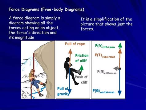 Free Body Force Diagram