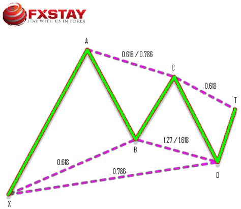 Gartley Pattern Forex Trading – Fxstay