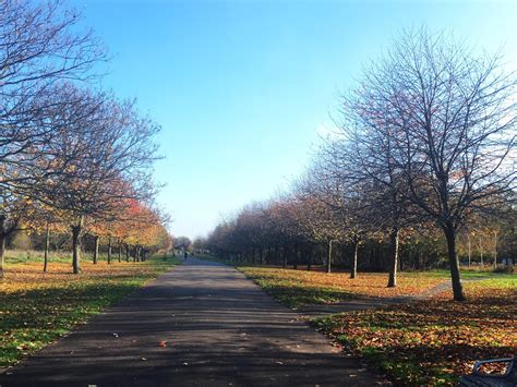 Autumnal Burgess Park | Park, London, Country roads