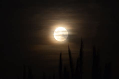 Free Images : light, atmosphere, darkness, lighting, full moon, moonlight, midnight, phenomenon ...