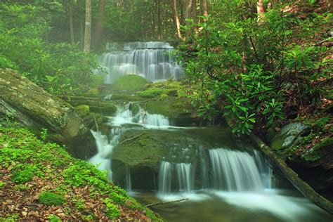 Free picture: waterfall, forest, wood, stream, nature, riverbank, moss ...