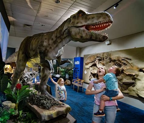 Dinosaur Museum Admission Tickets | The National Dinosaur Museum