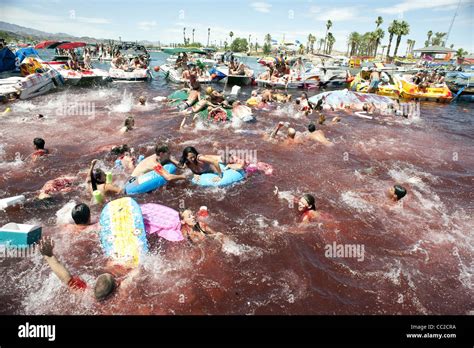 SWIMMERS PANIC DURING PIRANHA ATTACK PIRANHA 3D (2010 Stock Photo ...