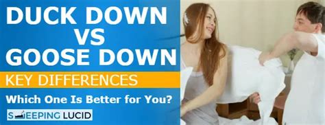 Duck Down vs Goose Down: Differences [Pillows, Duvets & Jackets]