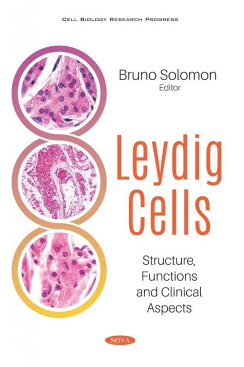 Leydig Cells: Structure, Functions and Clinical Aspects – Nova Science ...