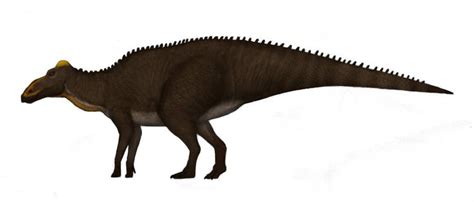 Shantungosaurus by Dragonthunders | Prehistoric wildlife, Prehistoric animals, Prehistoric creatures