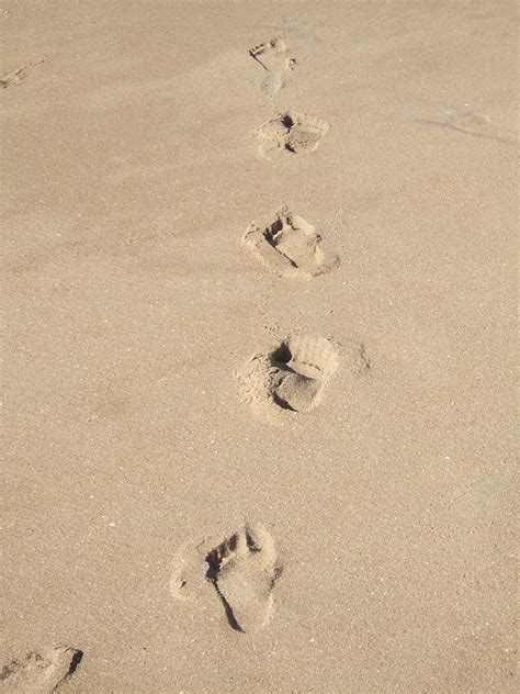 steps in beach Free Photo Download | FreeImages