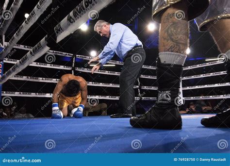 Professional Boxing Knock Down Editorial Photo | CartoonDealer.com #28194425