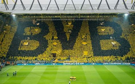 Borussia Dortmund, yellow wall - You'll never walk alone! Amazing! | Dortmund, Borussia dortmund ...