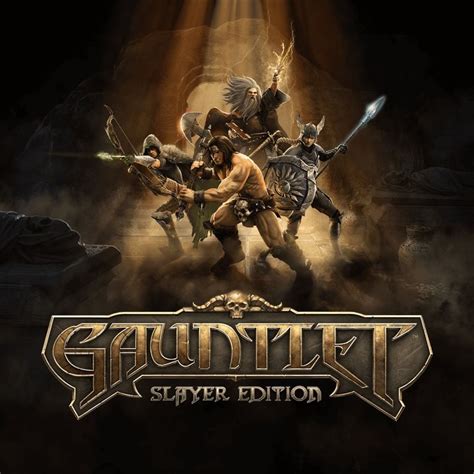 Gauntlet: Slayer Edition (2014) - MobyGames