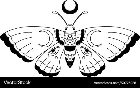Black line tattoo a moth Royalty Free Vector Image