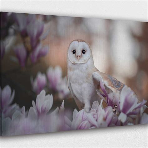 Owl Canvas Painting - Etsy