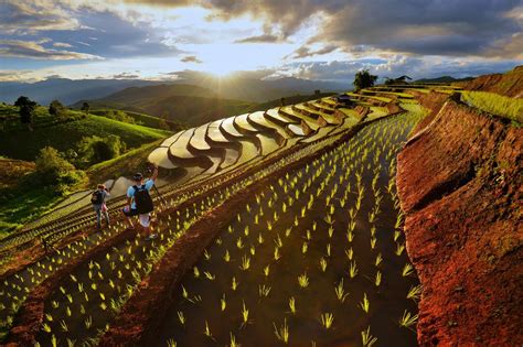 Chiang Mai rice terraced by Wanasapong Jaiinpol on 500px | Chiang mai ...