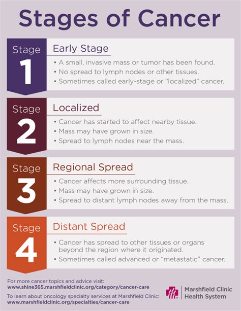 A guide: Cancer stages, terms and side effects | Shine365