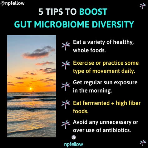 How to Boost Gut Microbiome Diversity