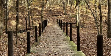 Best Hiking Trails in Huntsville – Scenic Views including Waterfalls and National Wilderness