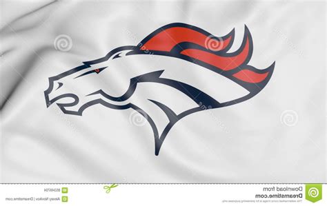 Broncos Logo Vector at Vectorified.com | Collection of Broncos Logo ...