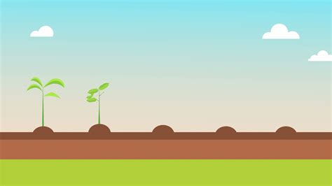 Plant Growing Animation Stock Video Footage for Free Download