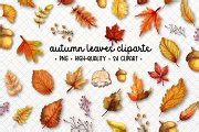 Watercolor Autumn Leaves Clipart | Illustrations ~ Creative Market