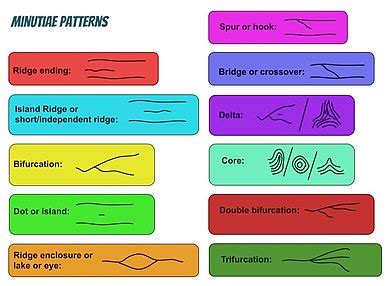 Fingerprint - Wikipedia