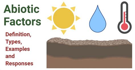 Abiotic Factors- Definition, Types, Examples and Responses | Abiotic ...