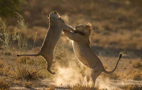 National Geographic Travel Photographer of the Year 2016