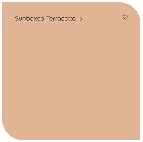 Terracotta Paint Colours: The Ultimate Spicy Shades For Your Interior