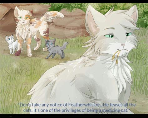 Questionclan; ThunderClan Medicine Cats | Warriors Amino