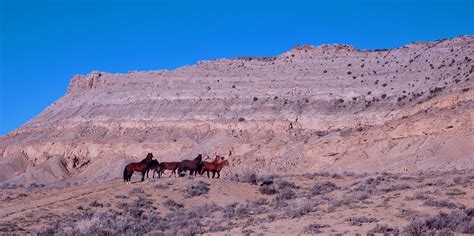 Explore Wyoming's Red Desert To See A Vast, Wild Ecosystem